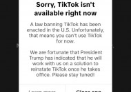 TikTok停止在美服务，称特朗普表示上任后将共同寻求恢复其使用