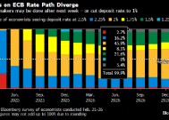 特朗普政策反复无常 欧洲央行降息路径面临越来越大的风险