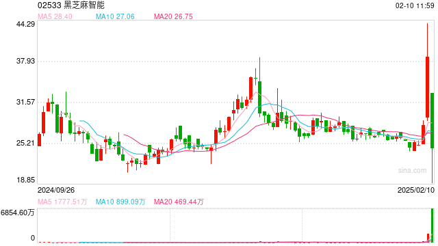 刚刚！黑芝麻智能大跌近50%，发生了什么？